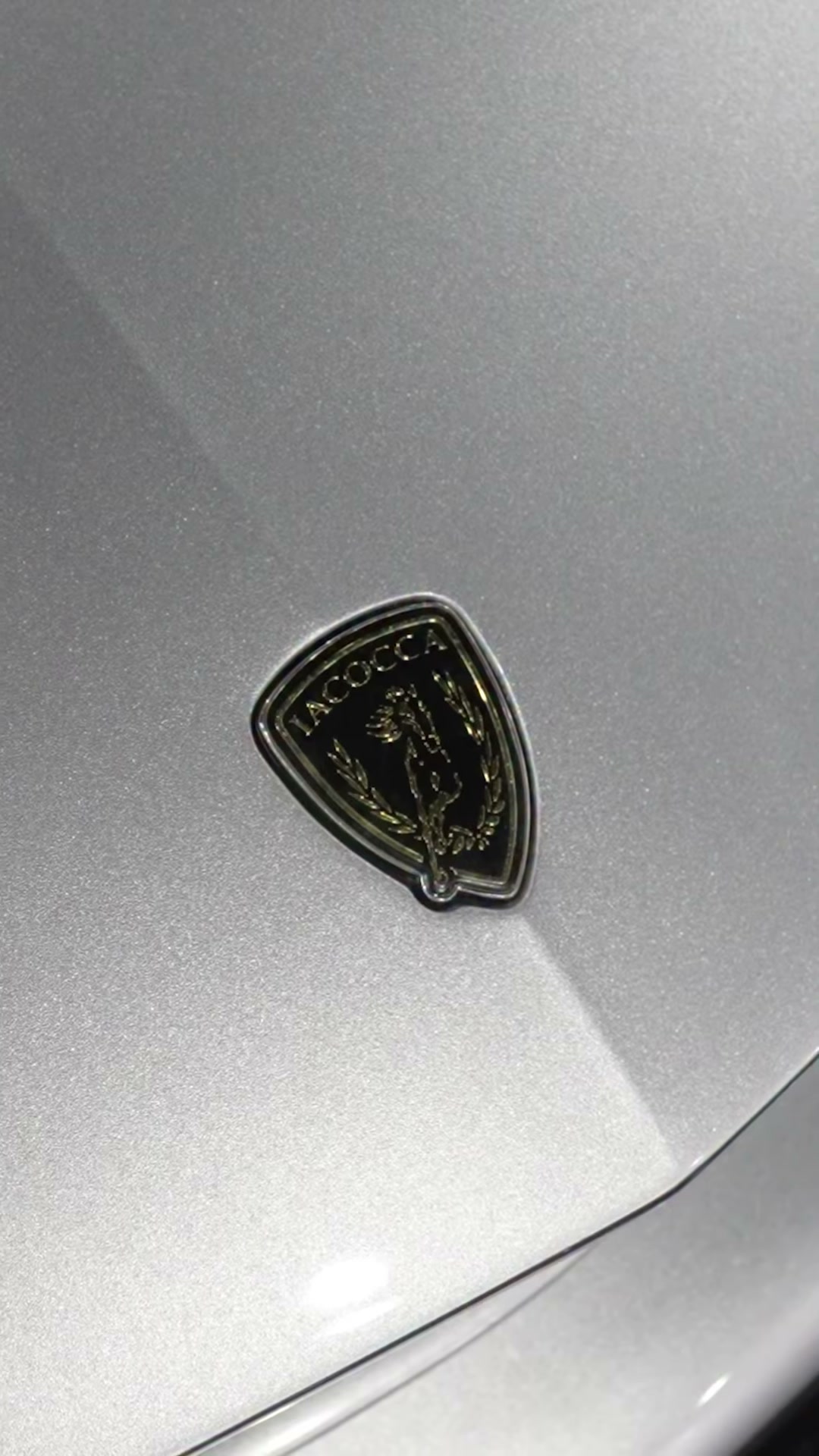 2009 Ford Mustang Iacocca Silver 45th Anniversary Edition #03, photo 7