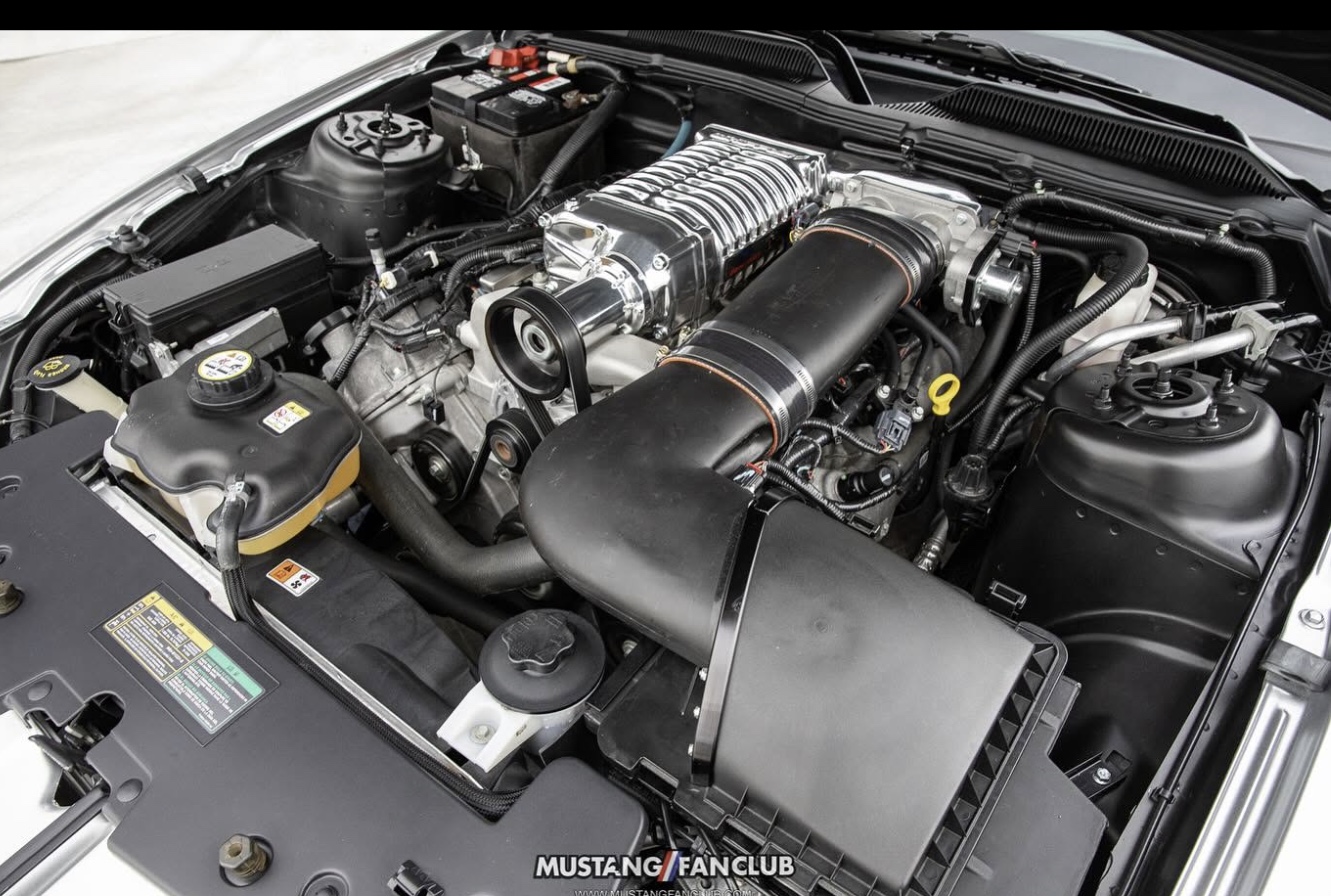 2009 Ford Mustang Iacocca Silver 45th Anniversary Edition #06, photo 21
