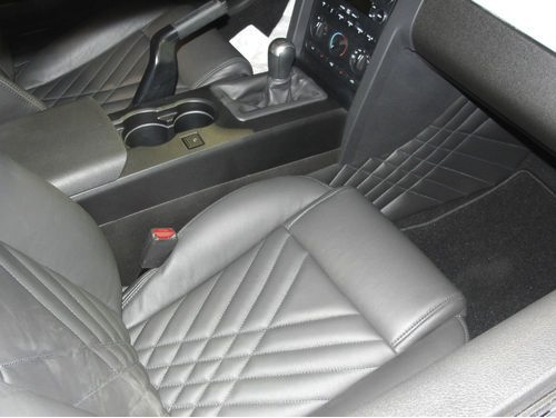 2009 Ford Mustang Iacocca Silver 45th Anniversary Edition #11, photo 2