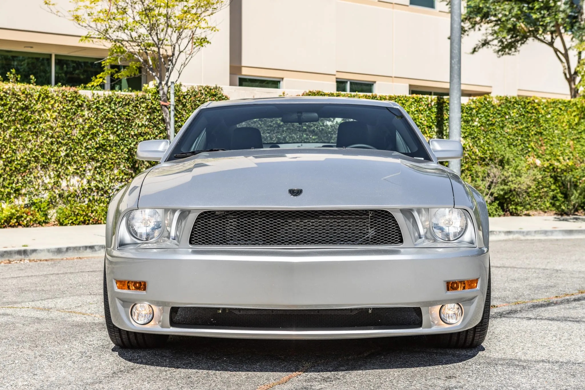 2009 Ford Mustang Iacocca Silver 45th Anniversary Edition #13, photo 14
