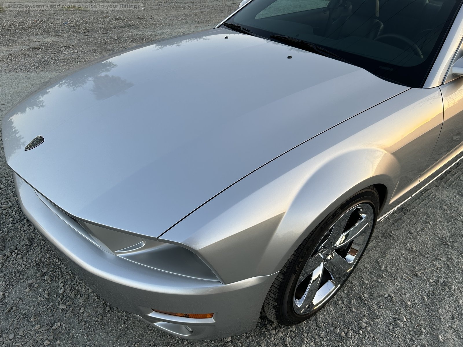 2009 Ford Mustang Iacocca Silver 45th Anniversary Edition #30, photo 13