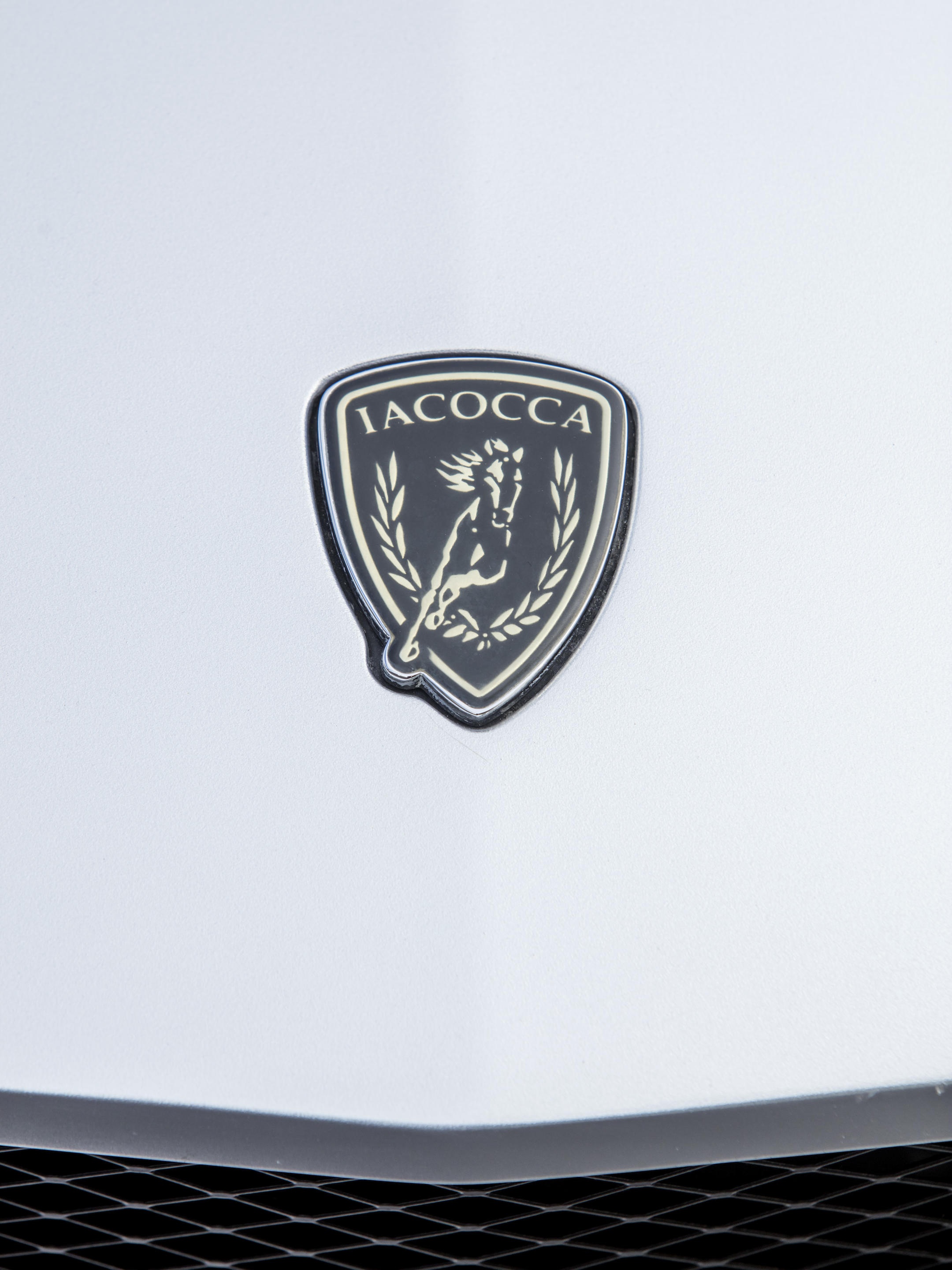 2009 Ford Mustang Iacocca Silver 45th Anniversary Edition #32, photo 16