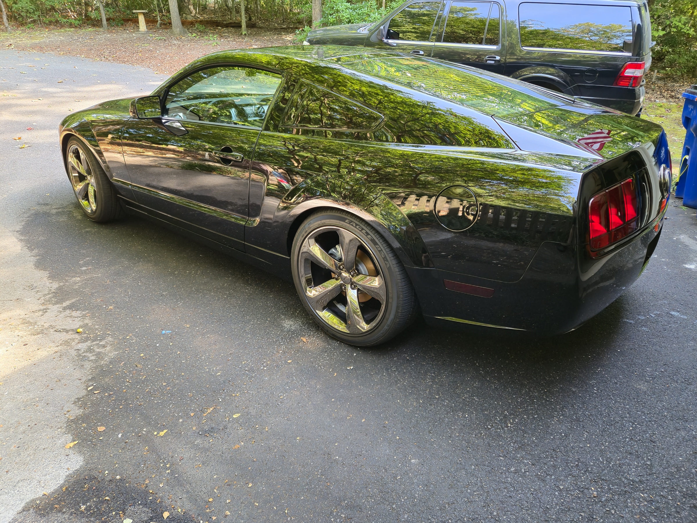 2009 Ford Mustang Iacocca Silver 45th Anniversary Edition #42, photo 7