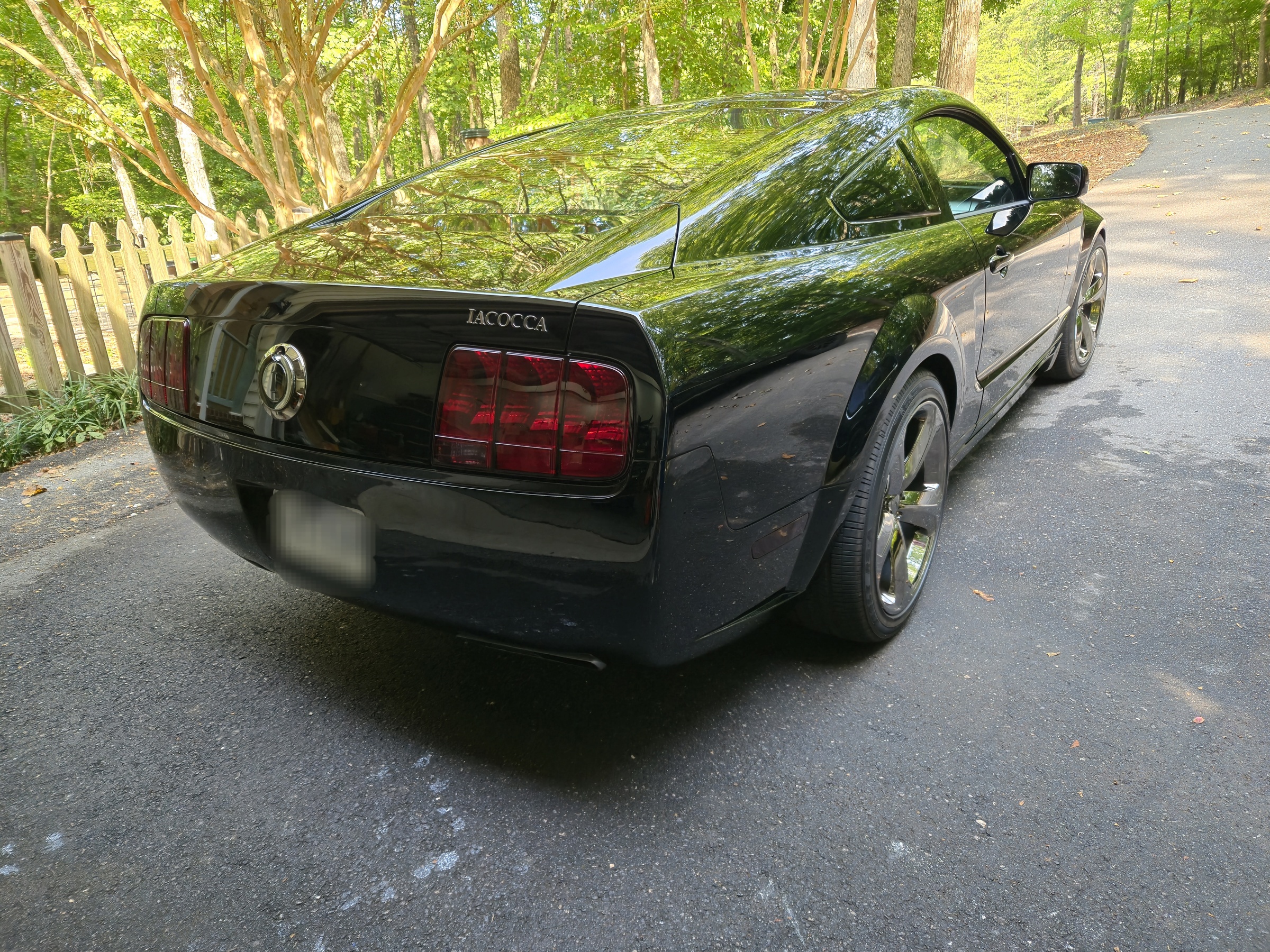 2009 Ford Mustang Iacocca Silver 45th Anniversary Edition #42, photo 9