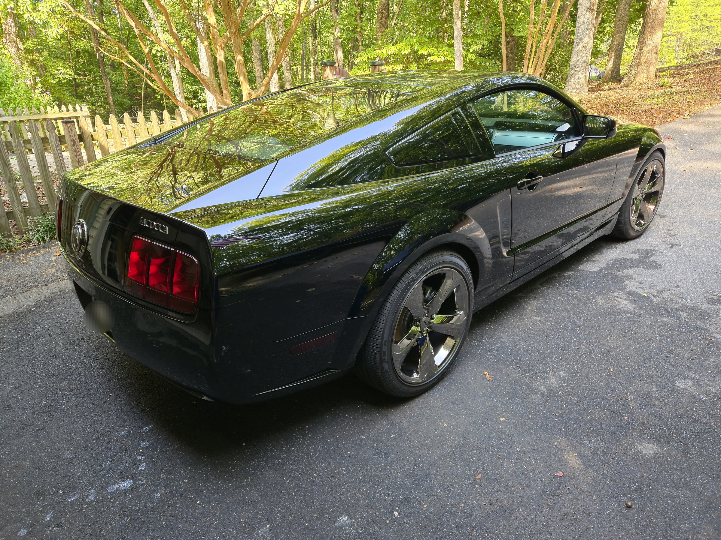 2009 Ford Mustang Iacocca Silver 45th Anniversary Edition #42, photo 10