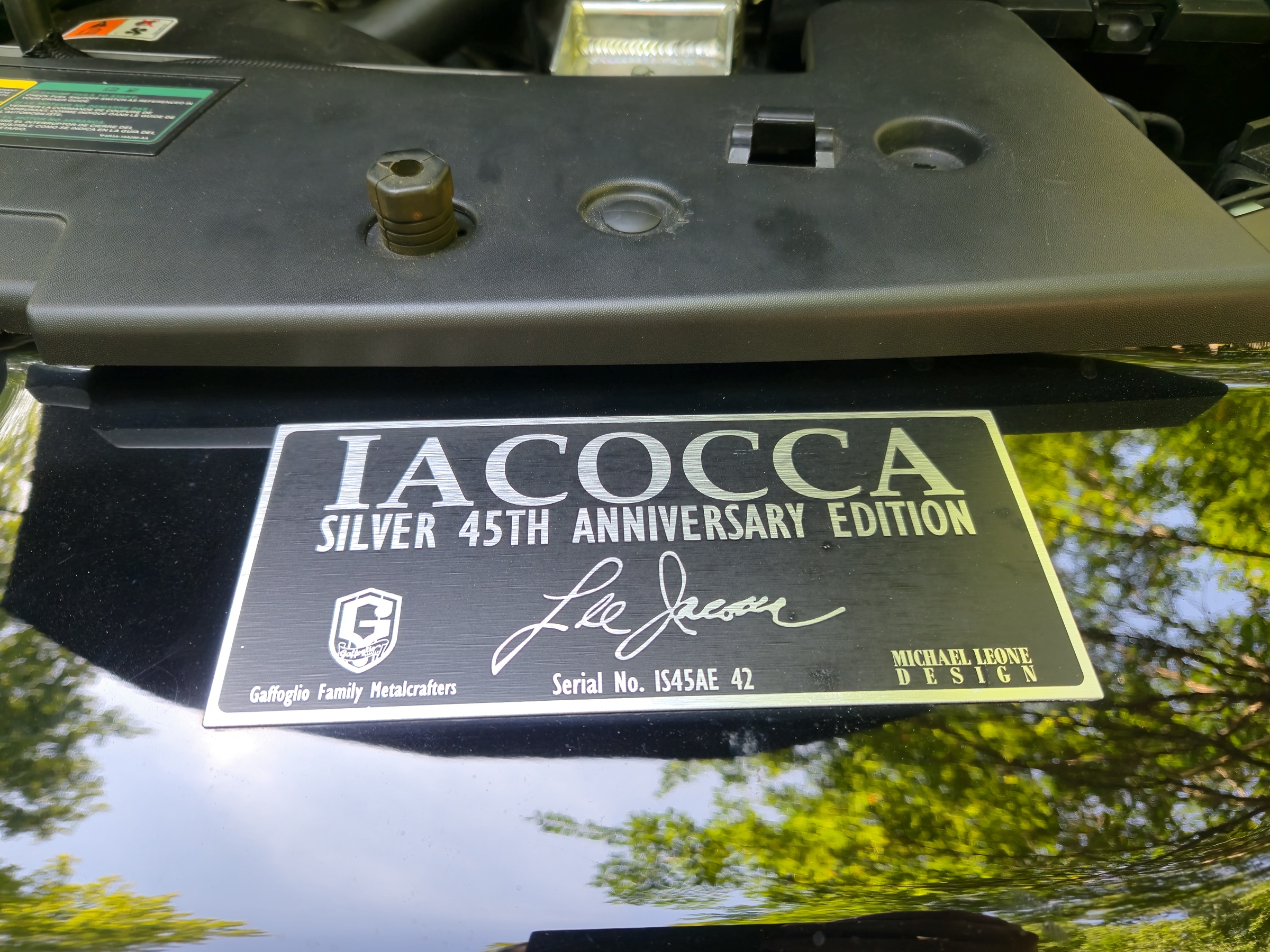 2009 Ford Mustang Iacocca Silver 45th Anniversary Edition #42, photo 17