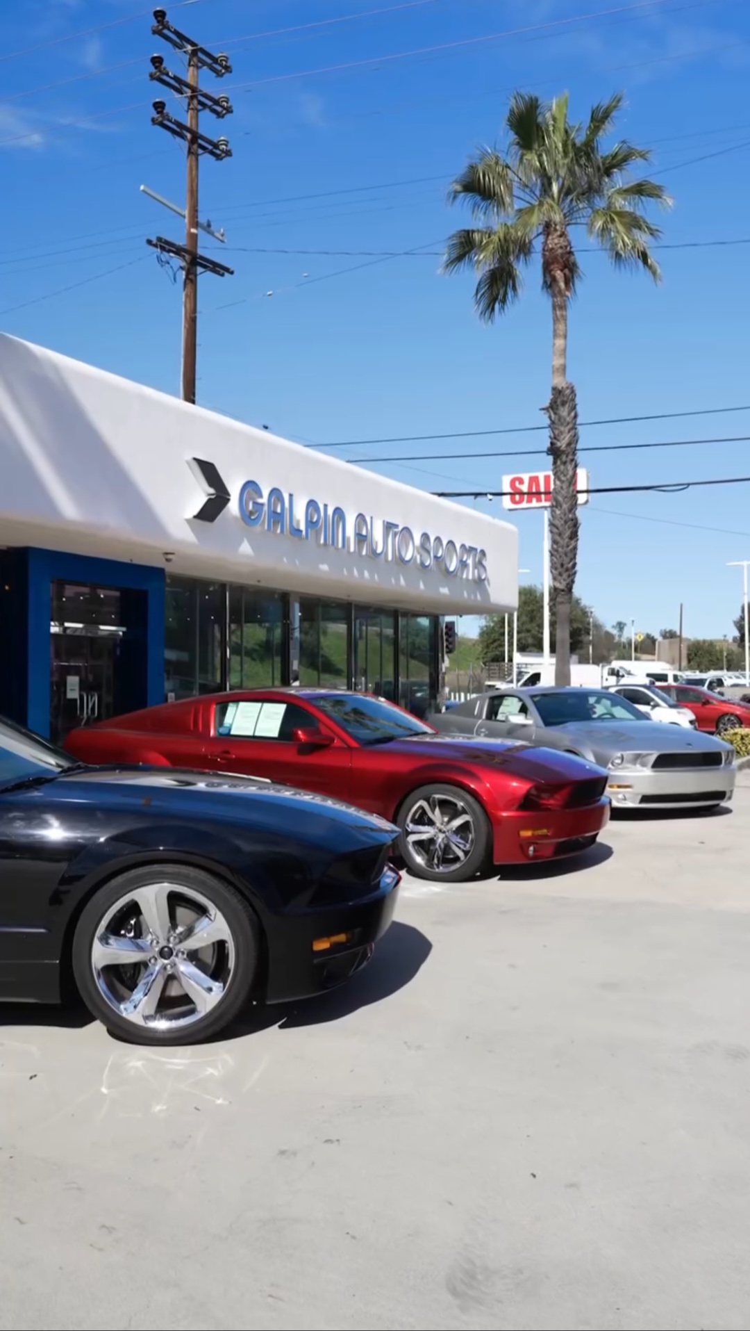 Cars #03, #44, and #45 at Galpin Ford